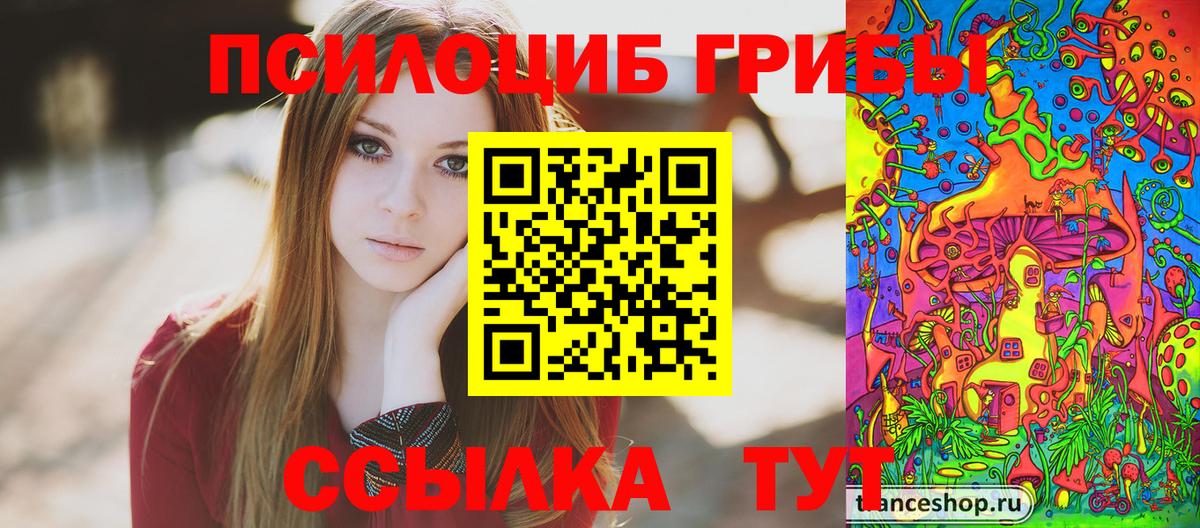 Ахтубинск  Галлюциногенные грибы Cubensis  Псилоцибиновые грибы мухоморы  Вход с VPN 