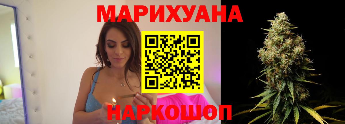 Бошки марихуана семена  Вход с VPN  Каннабис планчик  Каннабис VHQ  Ахтубинск 